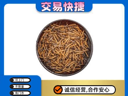 宿迁回收散虫草